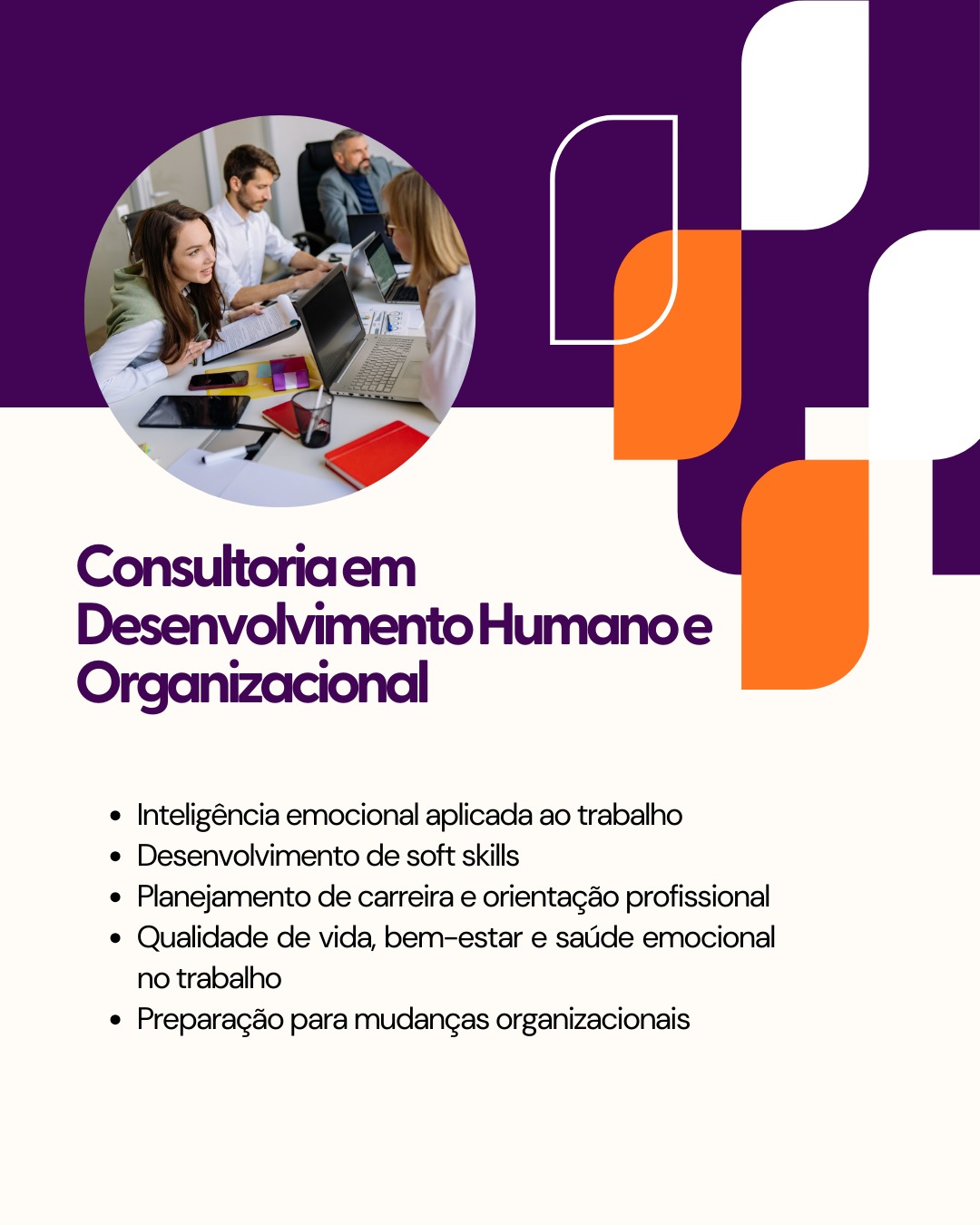 Consultoria Desenvolvimento Humano e Organizacional